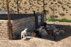 IMG-20180814-WA0009
