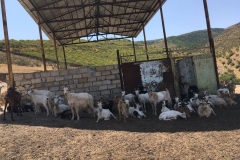 IMG-20180814-WA0010