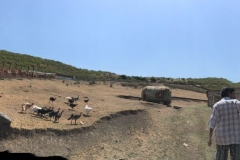 IMG-20180814-WA0011